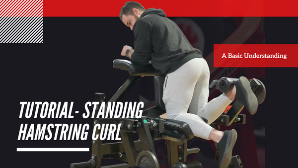 How To Do A Standing Hamstring Curl - Spartans Gym