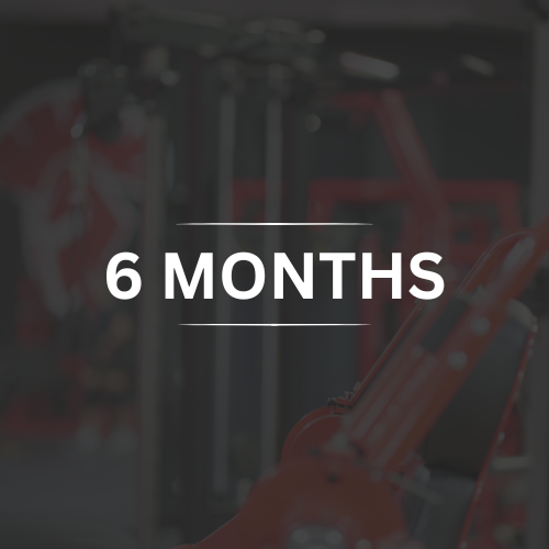 6 Month Membership